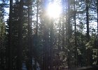 Tahoe 015